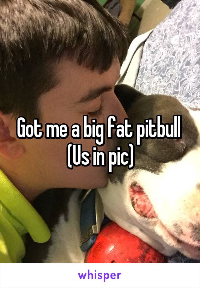 Got me a big fat pitbull 
(Us in pic)