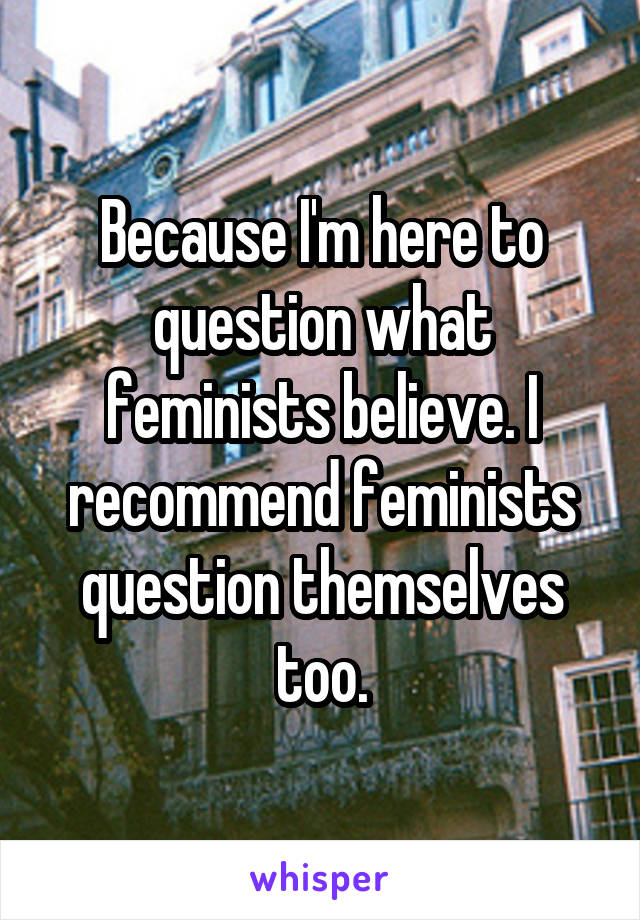 Because I'm here to question what feminists believe. I recommend feminists question themselves too.