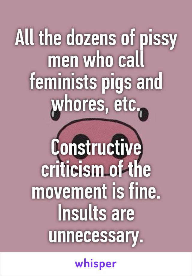 All the dozens of pissy men who call feminists pigs and whores, etc.

Constructive criticism of the movement is fine.
Insults are unnecessary.