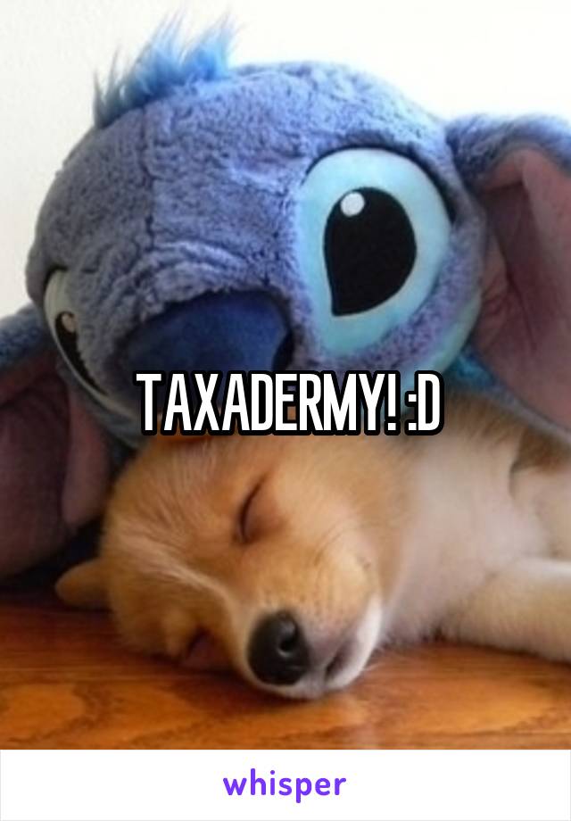 TAXADERMY! :D