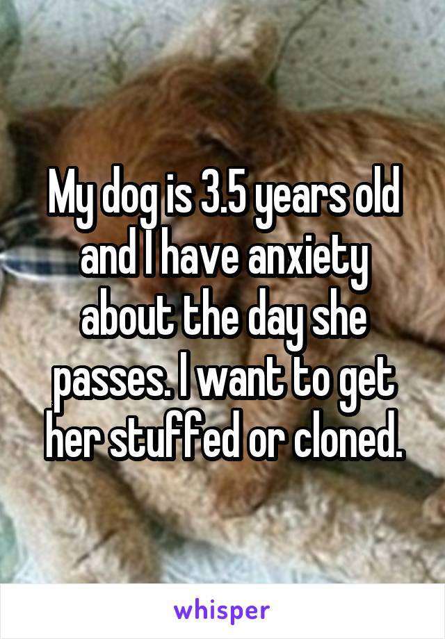 My dog is 3.5 years old and I have anxiety about the day she passes. I want to get her stuffed or cloned.