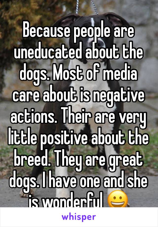 Because people are uneducated about the dogs. Most of media care about is negative actions. Their are very little positive about the breed. They are great dogs. I have one and she is wonderful 😀