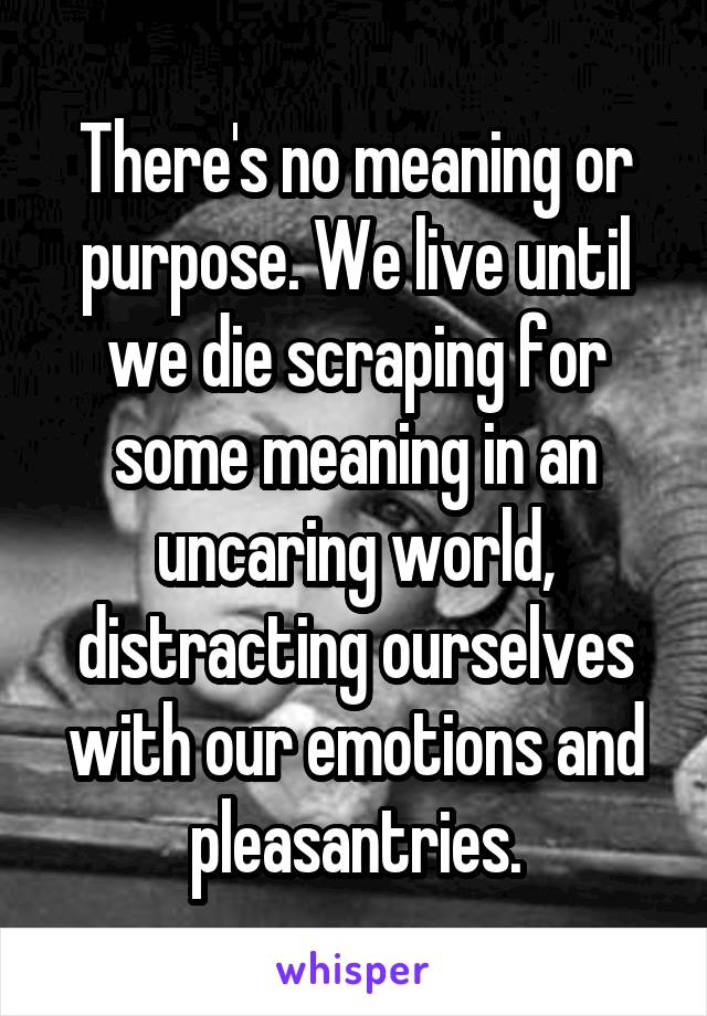 There's no meaning or purpose. We live until we die scraping for some meaning in an uncaring world, distracting ourselves with our emotions and pleasantries.