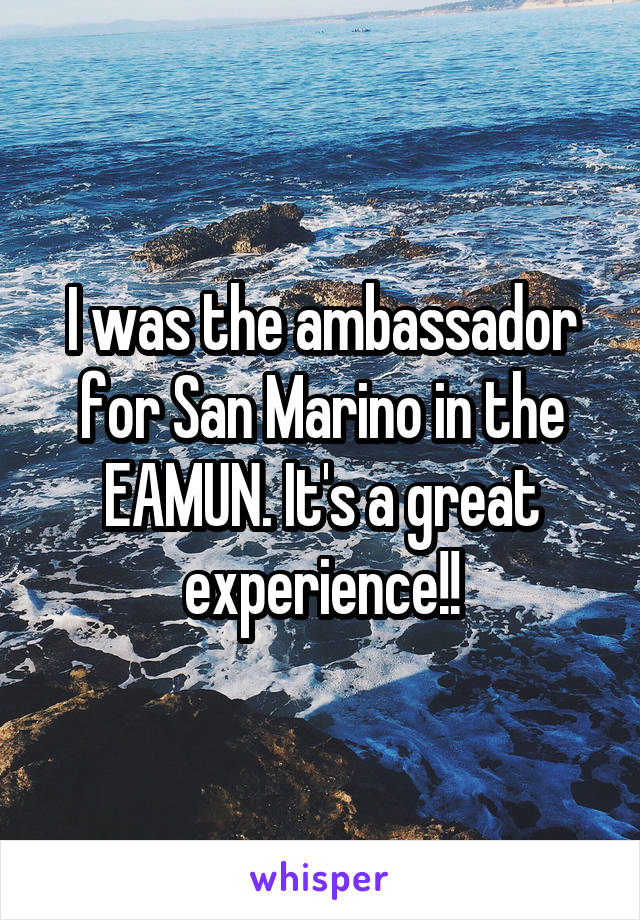 I was the ambassador for San Marino in the EAMUN. It's a great experience!!