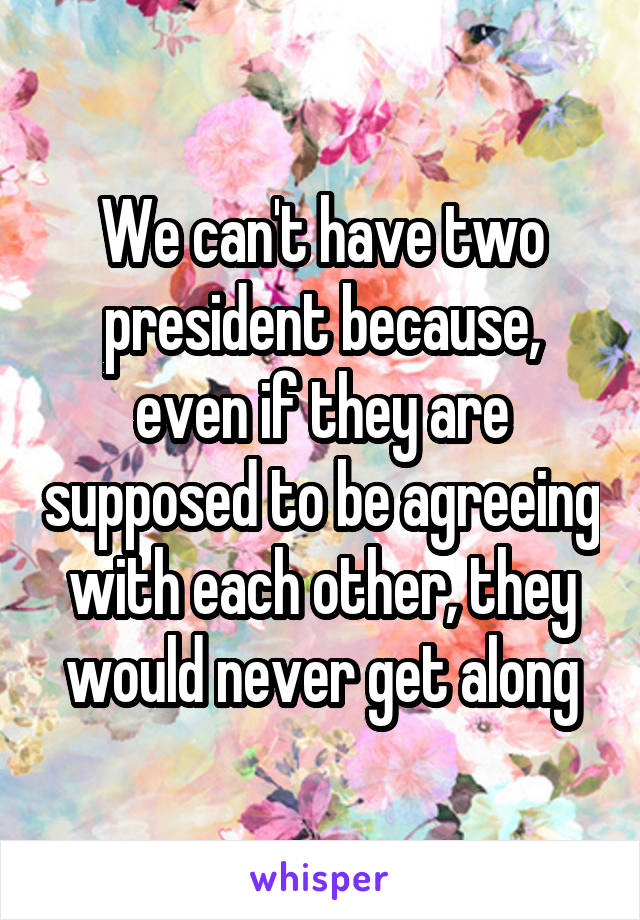 We can't have two president because, even if they are supposed to be agreeing with each other, they would never get along