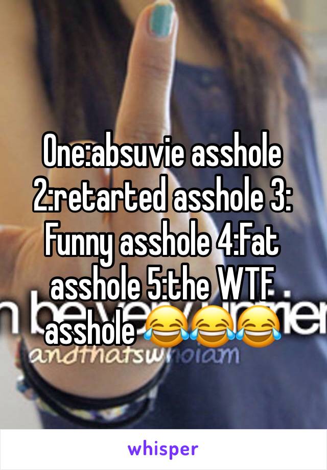 One:absuvie asshole 2:retarted asshole 3: Funny asshole 4:Fat asshole 5:the WTF asshole 😂😂😂