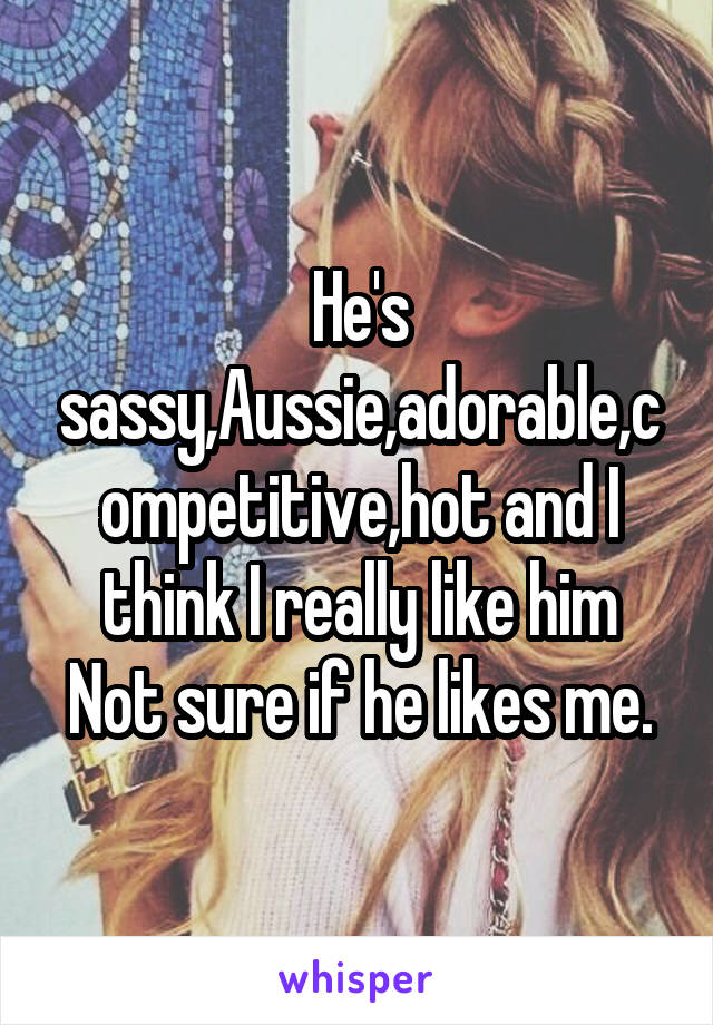He's sassy,Aussie,adorable,competitive,hot and I think I really like him
Not sure if he likes me.