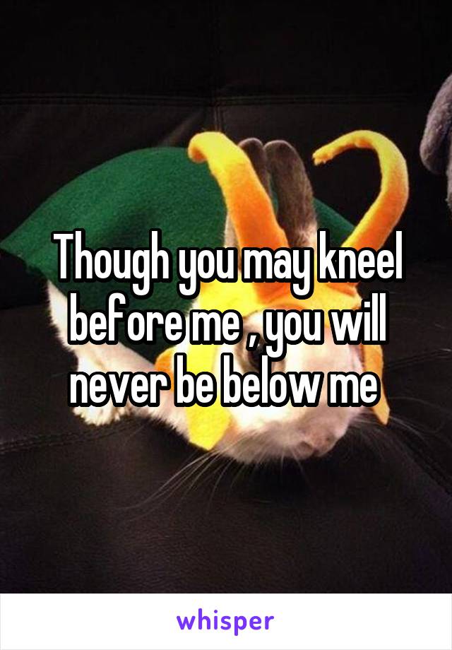 Though you may kneel before me , you will never be below me 