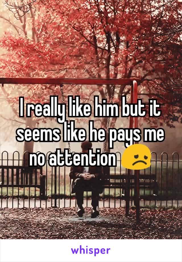 I really like him but it seems like he pays me no attention 😞