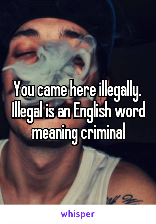 You came here illegally.  Illegal is an English word meaning criminal