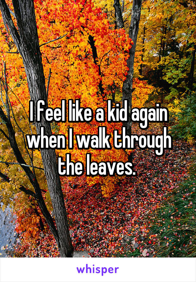 I feel like a kid again when I walk through the leaves. 