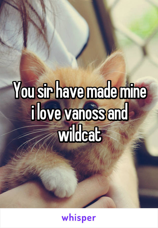 You sir have made mine i love vanoss and wildcat