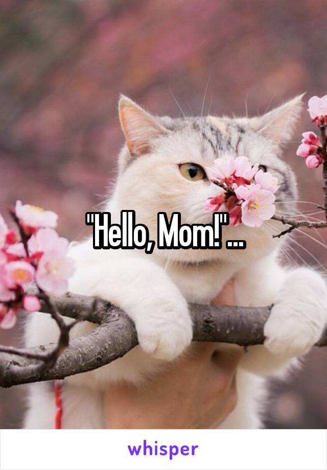 "Hello, Mom!"...