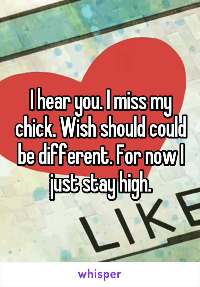 I hear you. I miss my chick. Wish should could be different. For now I just stay high.