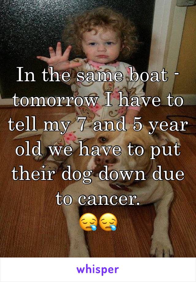 In the same boat - tomorrow I have to tell my 7 and 5 year old we have to put their dog down due to cancer.
😪😪