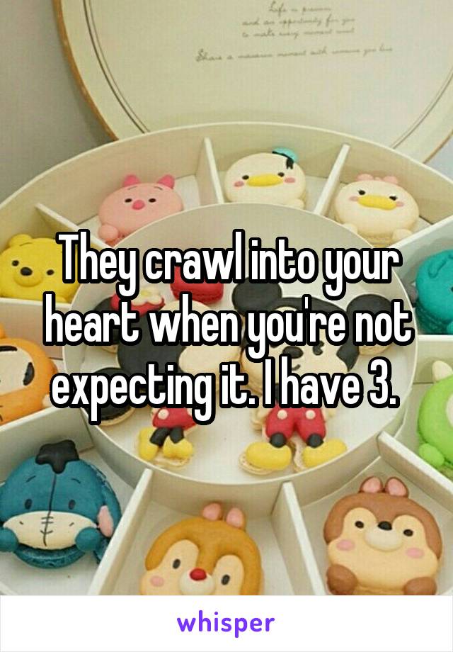 They crawl into your heart when you're not expecting it. I have 3. 