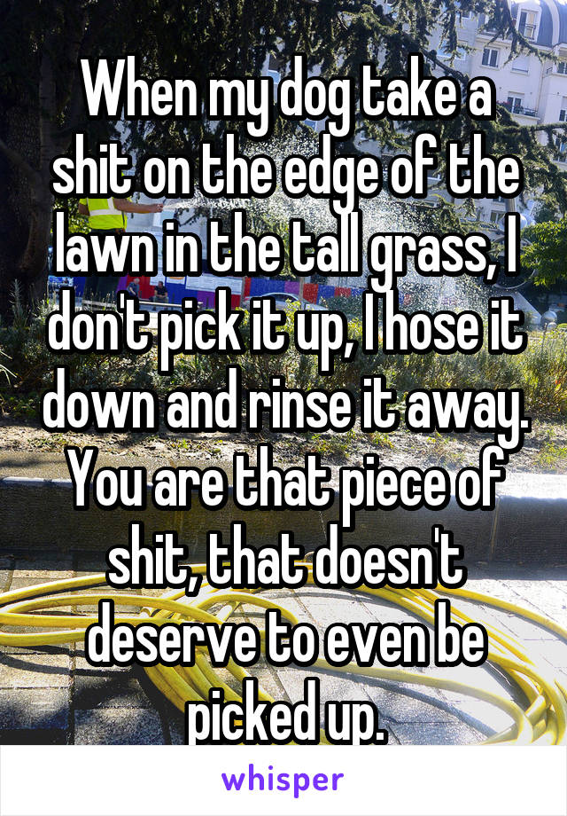 When my dog take a shit on the edge of the lawn in the tall grass, I don't pick it up, I hose it down and rinse it away. You are that piece of shit, that doesn't deserve to even be picked up.
