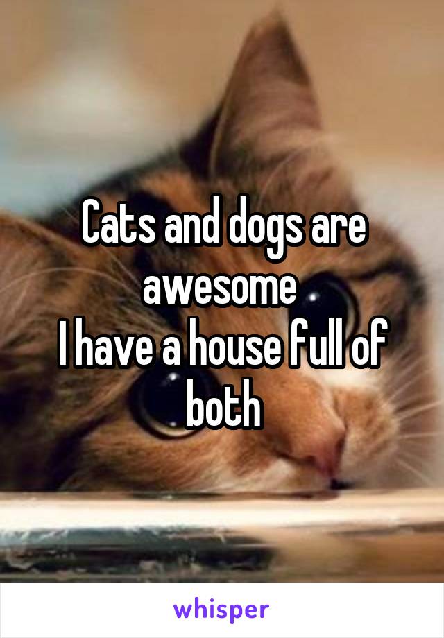 Cats and dogs are awesome 
I have a house full of both