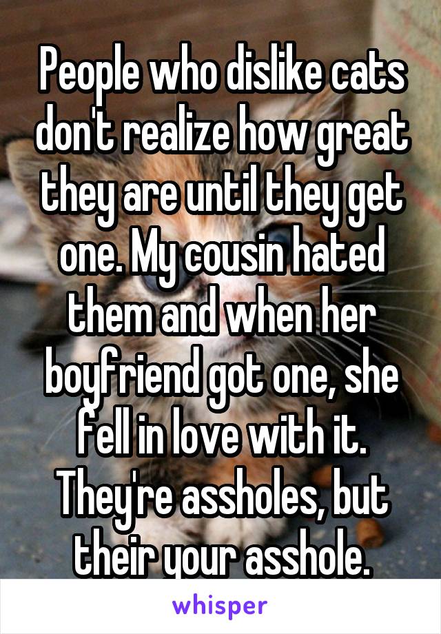 People who dislike cats don't realize how great they are until they get one. My cousin hated them and when her boyfriend got one, she fell in love with it. They're assholes, but their your asshole.