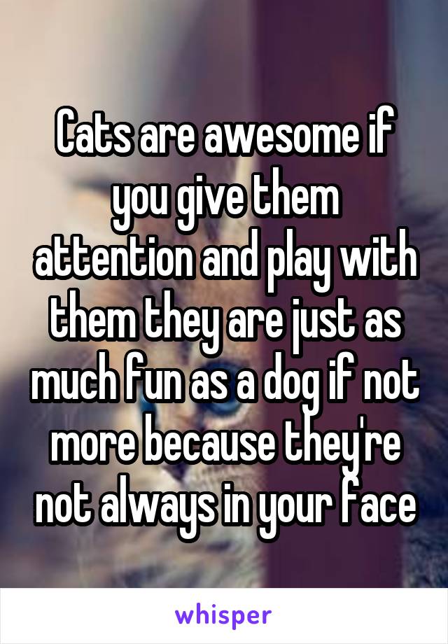 Cats are awesome if you give them attention and play with them they are just as much fun as a dog if not more because they're not always in your face