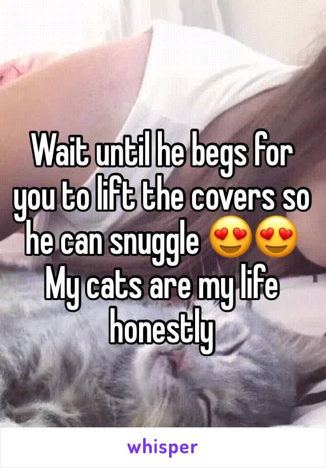 Wait until he begs for you to lift the covers so he can snuggle 😍😍 My cats are my life honestly 