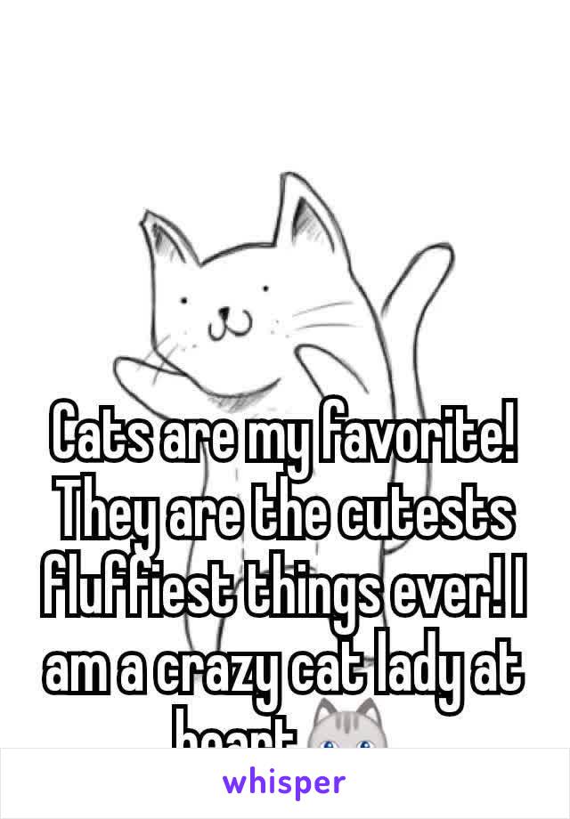 Cats are my favorite! They are the cutests fluffiest things ever! I am a crazy cat lady at heart😺