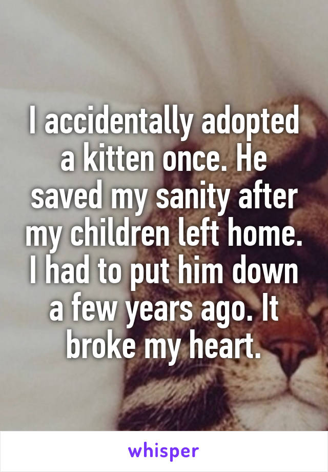 I accidentally adopted a kitten once. He saved my sanity after my children left home. I had to put him down a few years ago. It broke my heart.