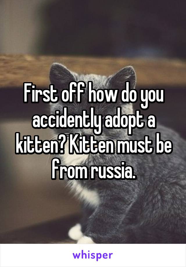 First off how do you accidently adopt a kitten? Kitten must be from russia.