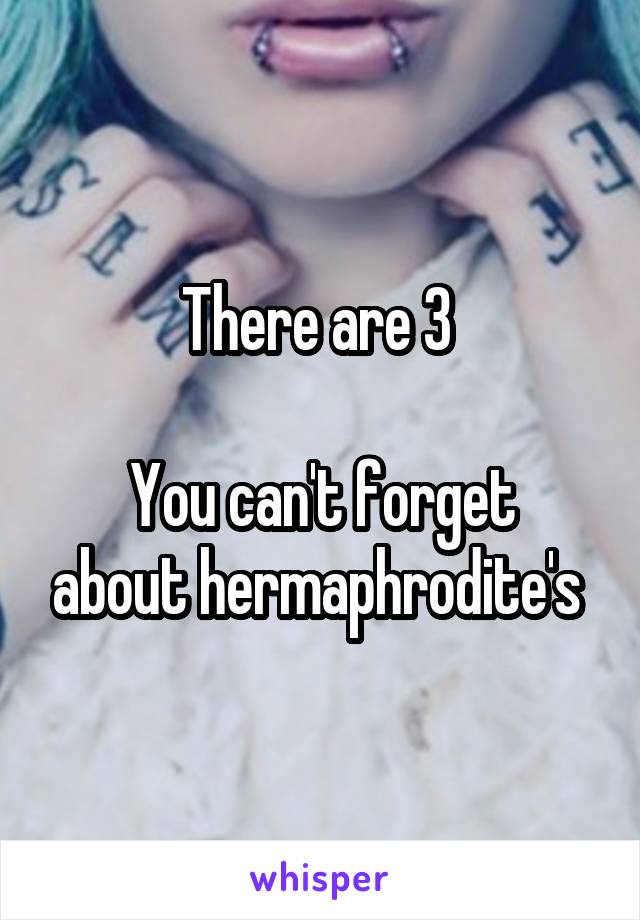 There are 3 

You can't forget about hermaphrodite's 