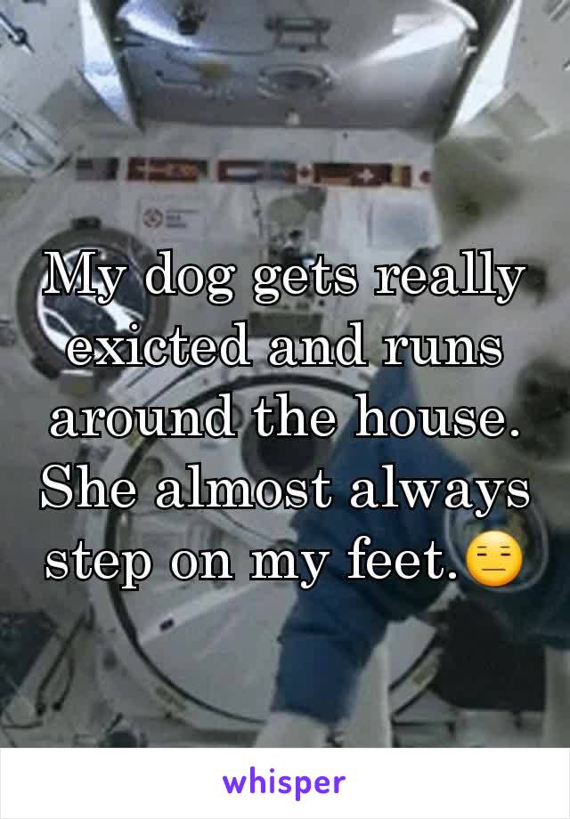 My dog gets really exicted and runs around the house. She almost always step on my feet.😑