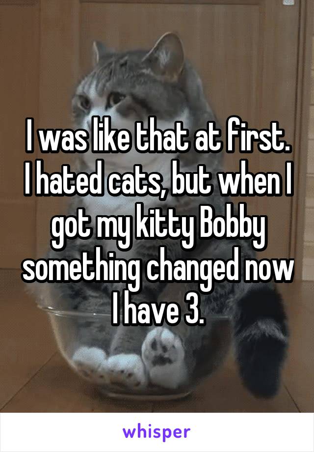 I was like that at first. I hated cats, but when I got my kitty Bobby something changed now I have 3.