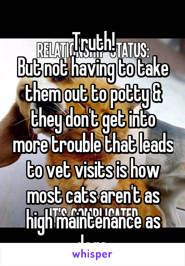 
Truth!
But not having to take them out to potty & they don't get into more trouble that leads to vet visits is how most cats aren't as high maintenance as dogs.