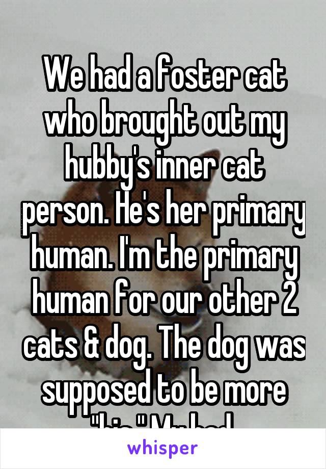 
We had a foster cat who brought out my hubby's inner cat person. He's her primary human. I'm the primary human for our other 2 cats & dog. The dog was supposed to be more "his." My bad.