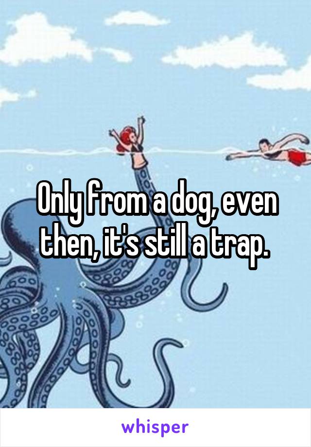 Only from a dog, even then, it's still a trap. 