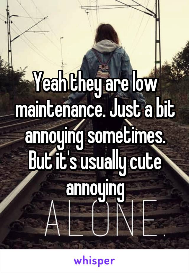 Yeah they are low maintenance. Just a bit annoying sometimes. But it's usually cute annoying