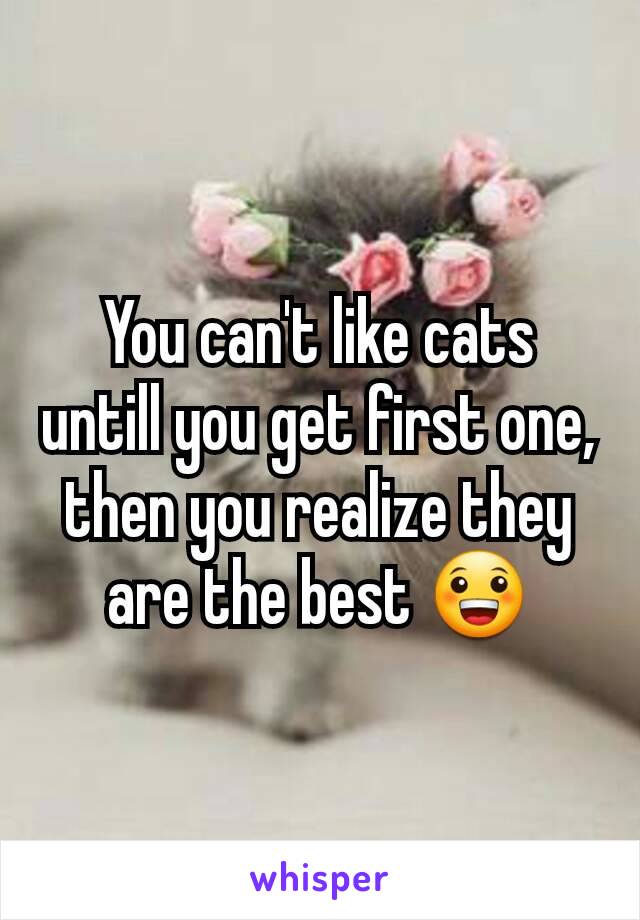 You can't like cats untill you get first one, then you realize they are the best 😀