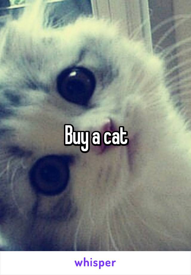 Buy a cat