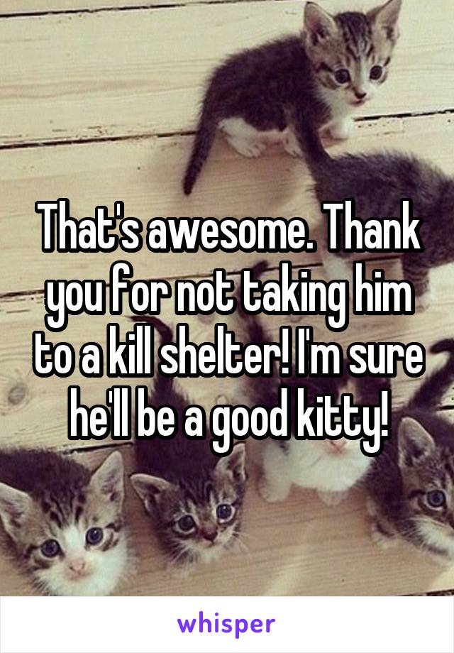 That's awesome. Thank you for not taking him to a kill shelter! I'm sure he'll be a good kitty!