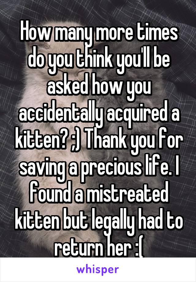 How many more times do you think you'll be asked how you accidentally acquired a kitten? ;) Thank you for saving a precious life. I found a mistreated kitten but legally had to return her :(