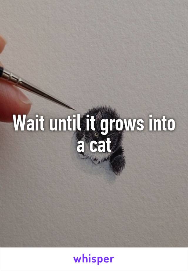 Wait until it grows into a cat