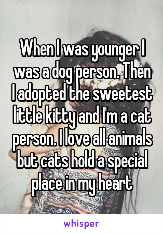 When I was younger I was a dog person. Then I adopted the sweetest little kitty and I'm a cat person. I love all animals but cats hold a special place in my heart