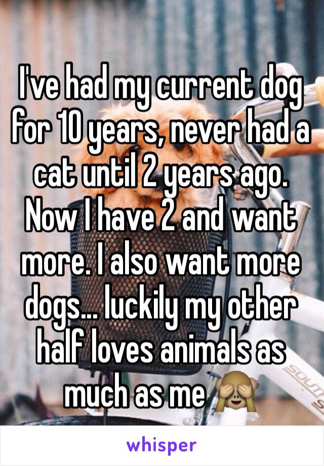 I've had my current dog for 10 years, never had a cat until 2 years ago. Now I have 2 and want more. I also want more dogs... luckily my other half loves animals as much as me 🙈