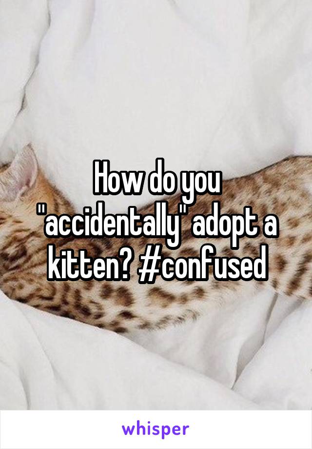 How do you "accidentally" adopt a kitten? #confused