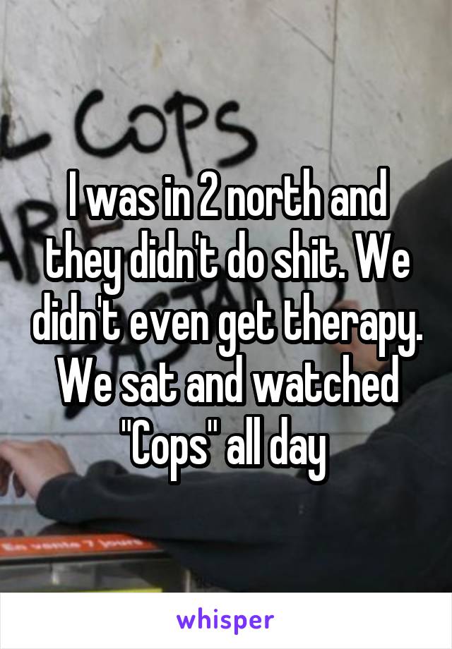 I was in 2 north and they didn't do shit. We didn't even get therapy. We sat and watched "Cops" all day 