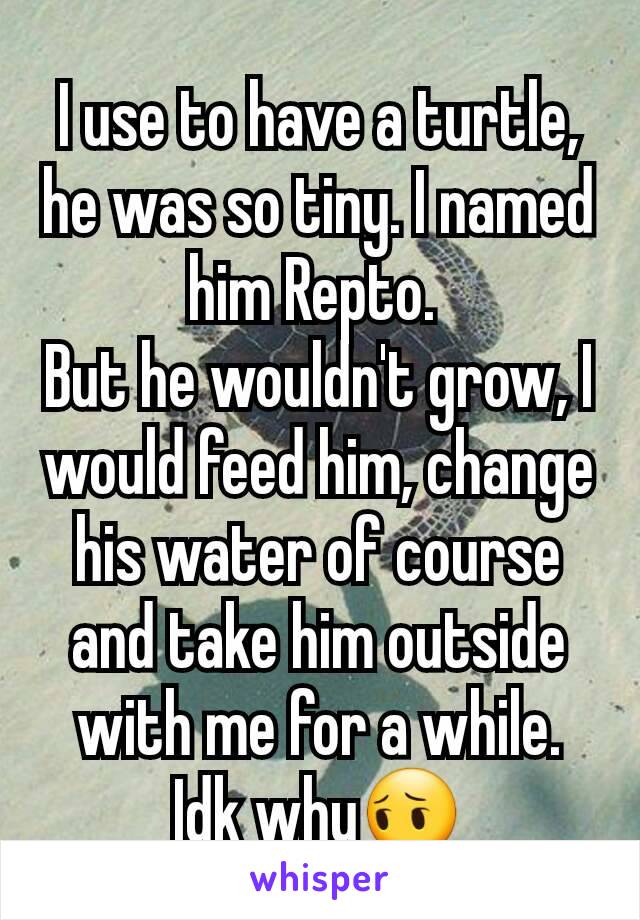 I use to have a turtle, he was so tiny. I named him Repto. 
But he wouldn't grow, I would feed him, change his water of course and take him outside with me for a while.
Idk why😔