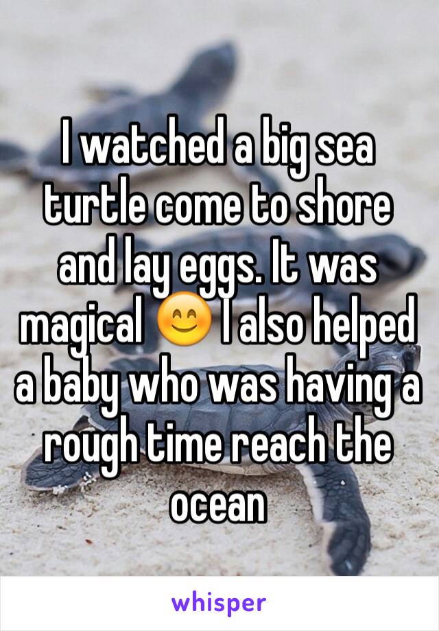 I watched a big sea turtle come to shore and lay eggs. It was magical 😊 I also helped a baby who was having a rough time reach the ocean 