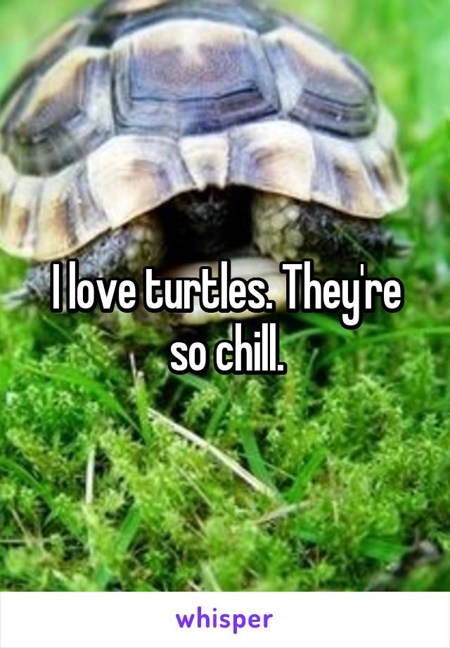 I love turtles. They're so chill.