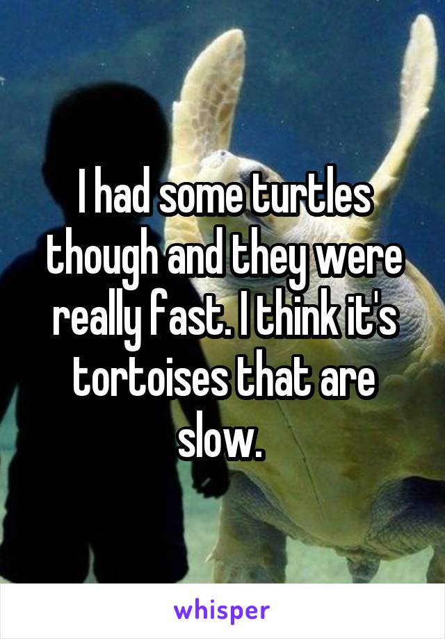 I had some turtles though and they were really fast. I think it's tortoises that are slow. 