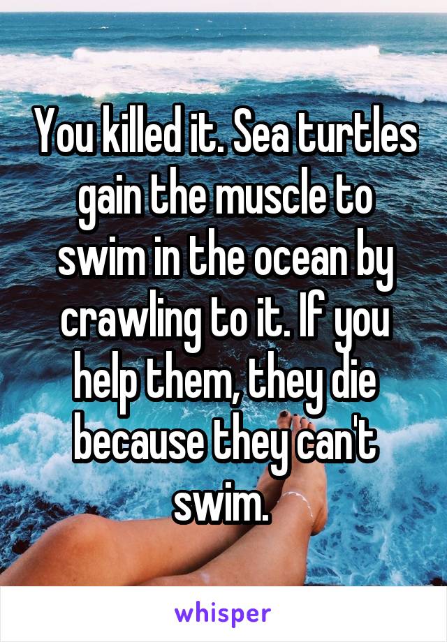 You killed it. Sea turtles gain the muscle to swim in the ocean by crawling to it. If you help them, they die because they can't swim. 