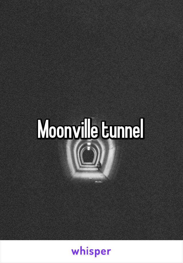 Moonville tunnel 